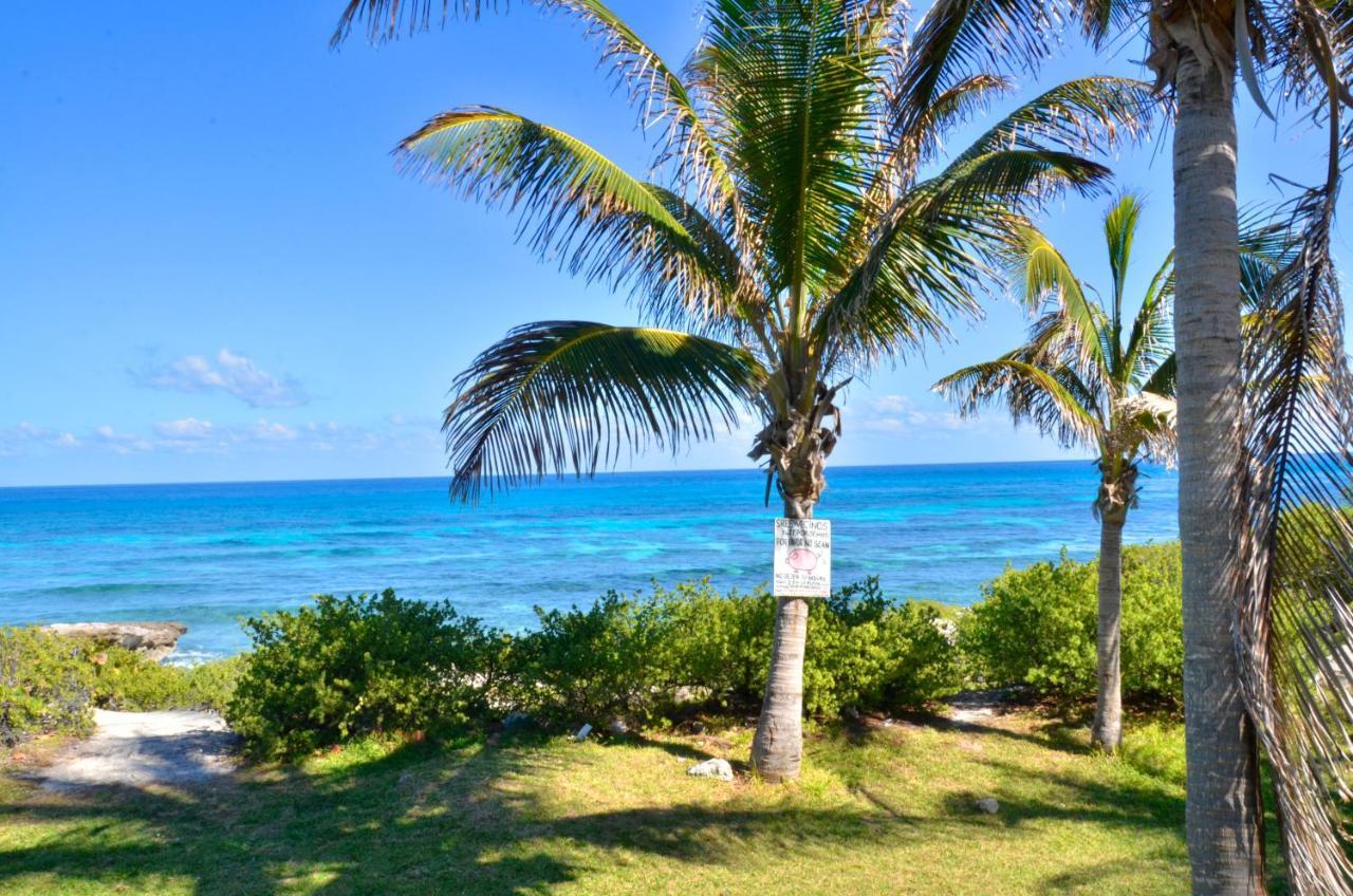 Ar Ocean View Apartments Isla Mujeres Ngoại thất bức ảnh